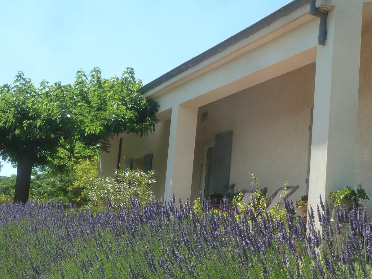 Une Ronce Sous Le Figuier Rousset-les-Vignes Exteriör bild