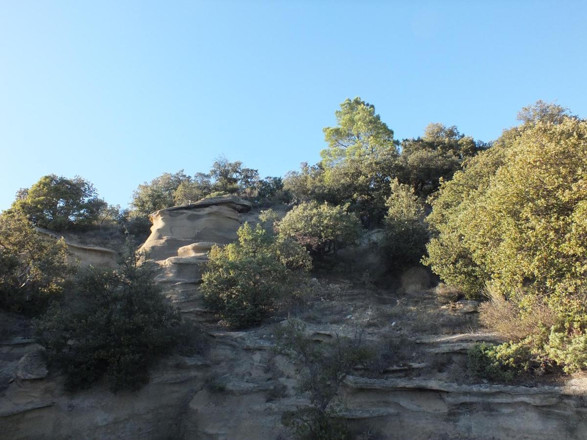 Une Ronce Sous Le Figuier Rousset-les-Vignes Exteriör bild